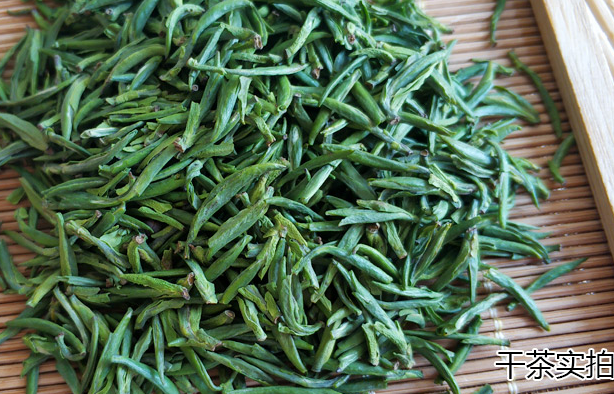 新茶茶叶绿茶峨眉山明前雀舌早春头采龙芽竹叶茶雪芽毛尖